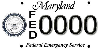 Federal Emergency Services