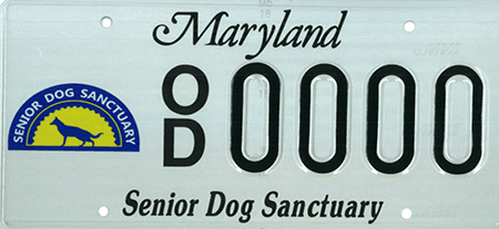 Senior Dog Sanctuary