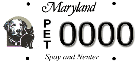 Spay & Neuter